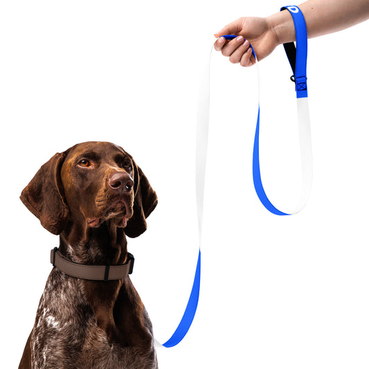 AeroBud Based Leash